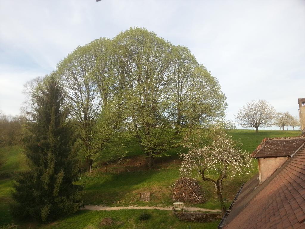 Holiday home Gite 3 Du Chateau De Feschaux Villeneuve-sous-Pymont