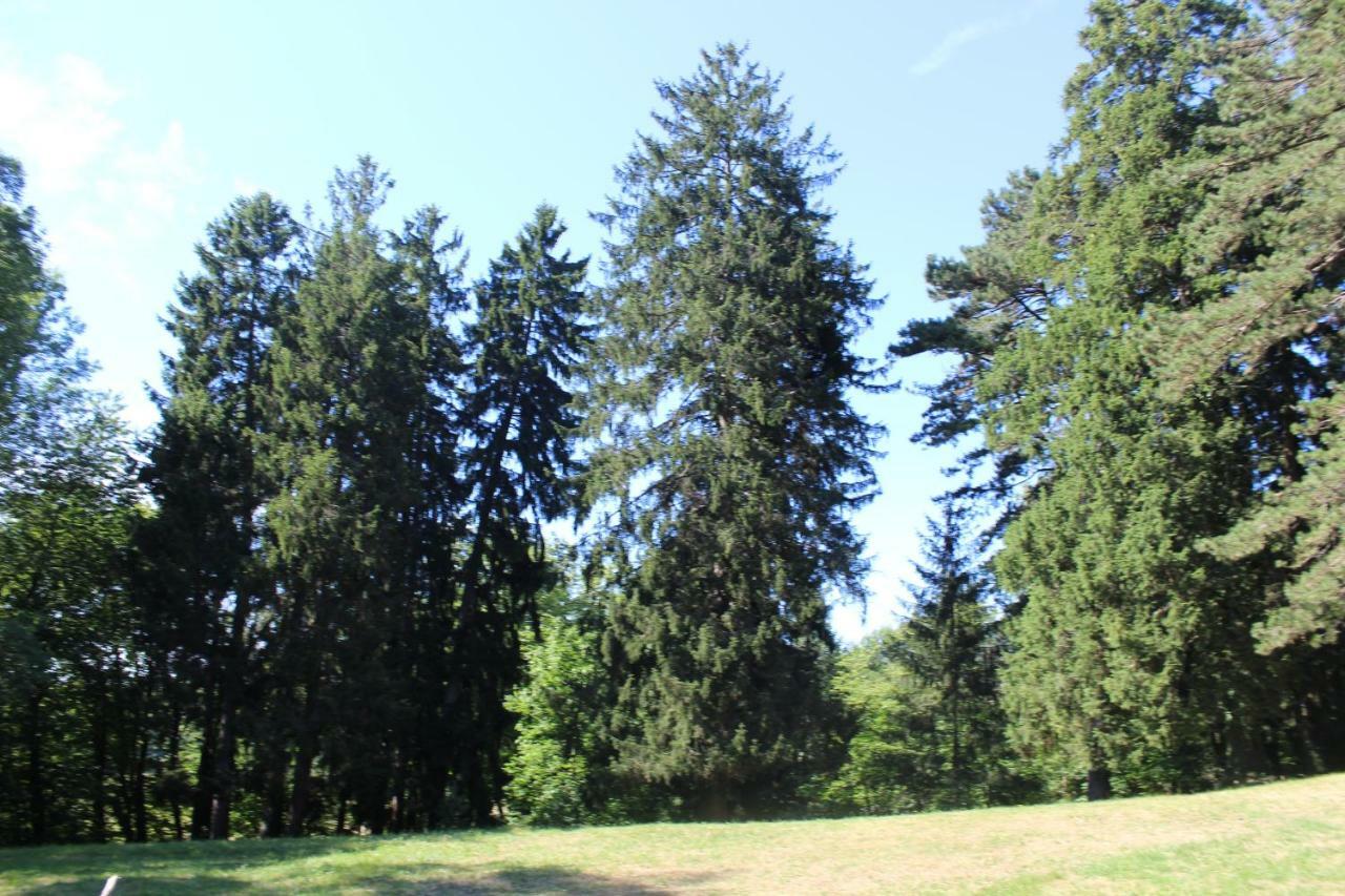 Gite 3 Du Chateau De Feschaux Holiday home Villeneuve-sous-Pymont